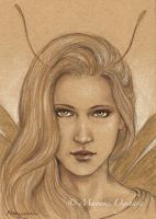 Gold Fairy